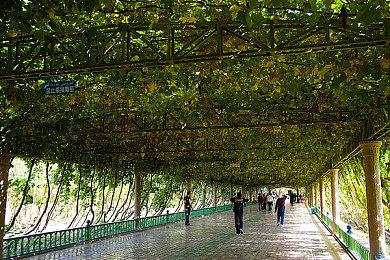 《午夜行者》技术测试开启 PvPvE僵尸生存撤离